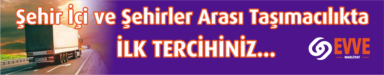 Ankara Trabzon asansörlü nakliye